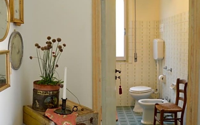 B&B Lady Cocca