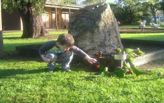 Reflections Eden - Holiday Park