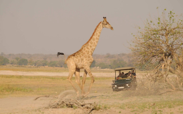 Ngoma Safari Lodge