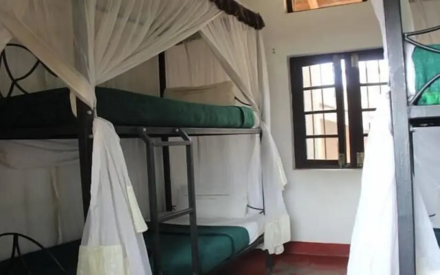 Kilimanjaro Backpackers Hotel - Backpacker