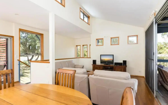 Blue Poles (Pets Allowed)