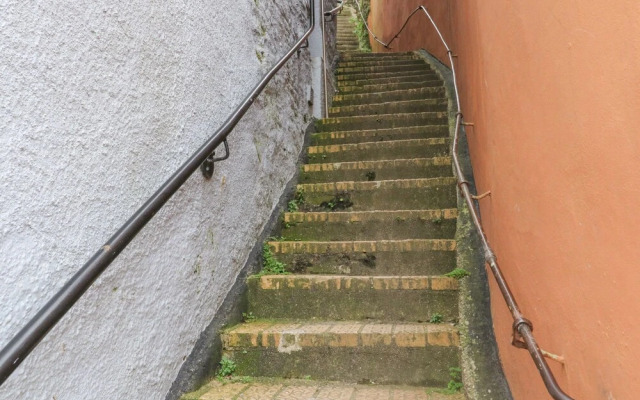 6 Hillside Terrace