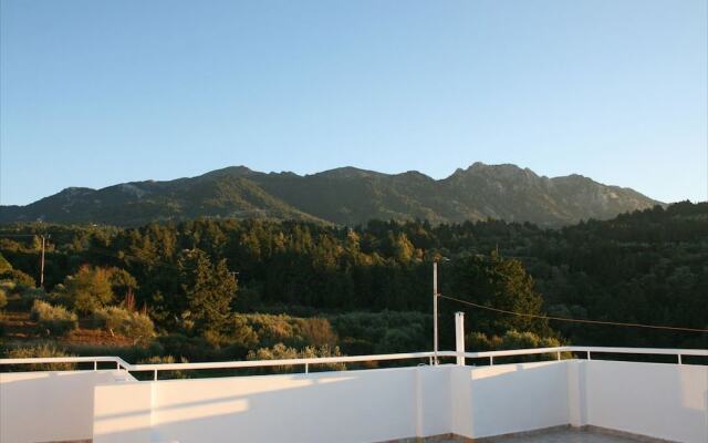 The Olive Branch Villa