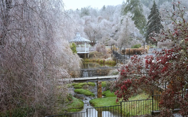 Meadowbrook Inn & Suites