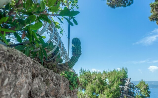 Apartments Villa Iva