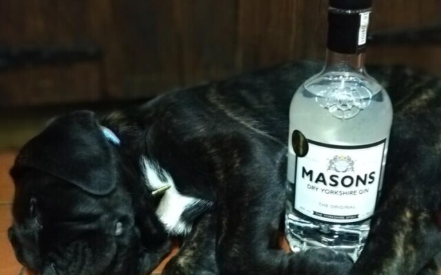 The Masons Arms