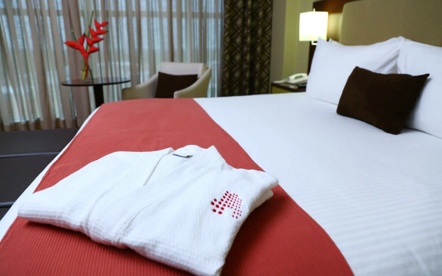 Hotel Ciudad De David