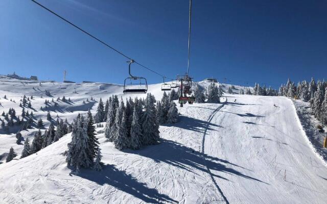 Ski & Spa Apartment S20 Milmari Resort Kopaonik