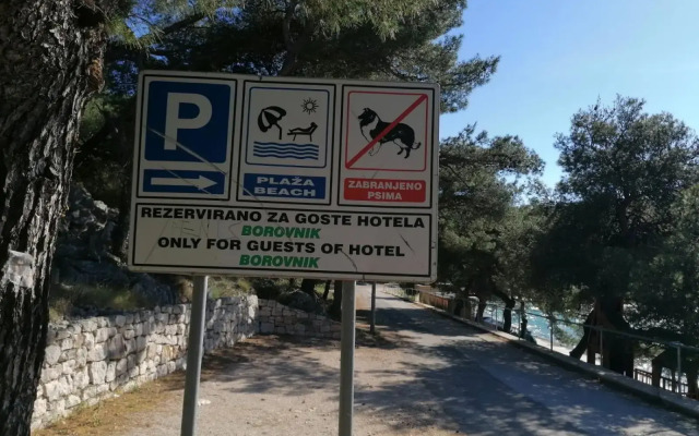 Hotel Borovnik