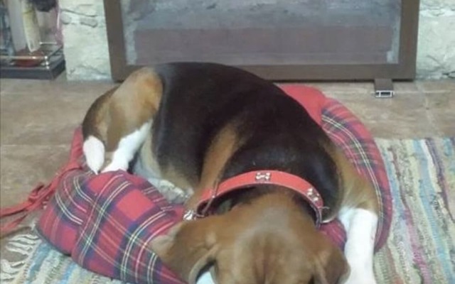 Beautiful 3 Bedr House in Arakapas With Fireplace