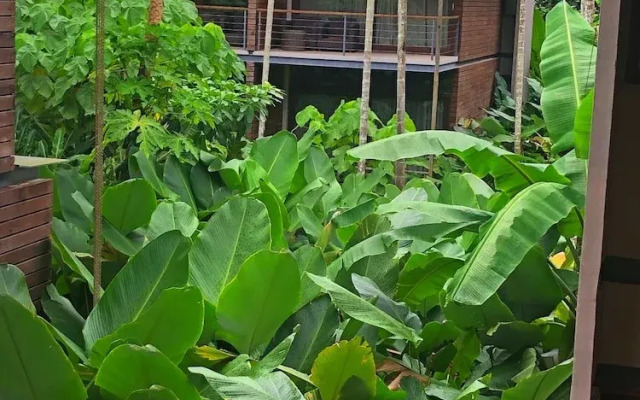 Tilar Siro Andamans - CGH Earth