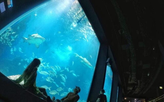 Blue Hole Dive Center