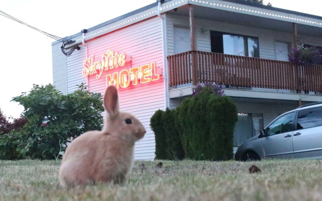 Skylite Motel