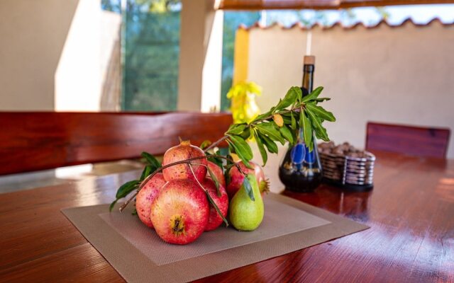 Holiday Home Villa Vesna Lux