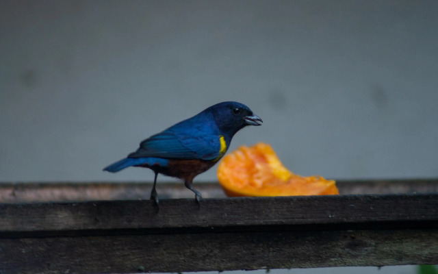 Pousada Locanda Belvedere