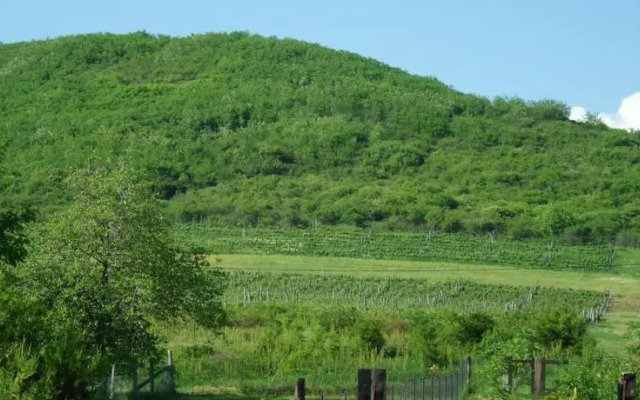 Bényelak - Zöldorom