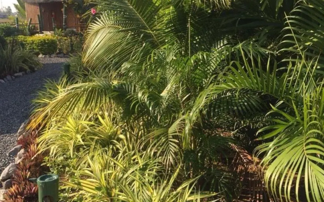 The Orchid Resort & Relax