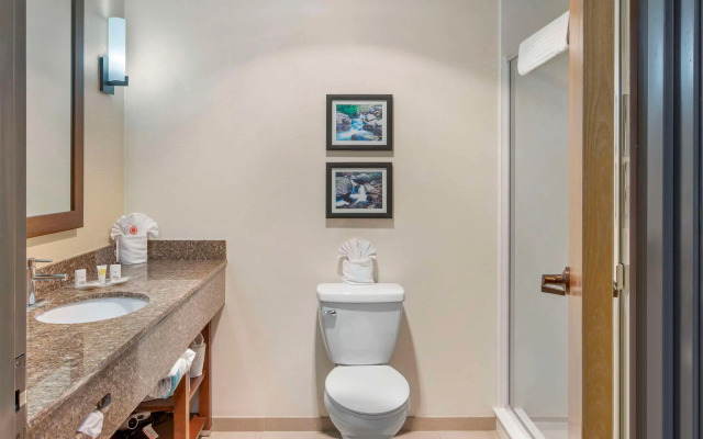 Comfort Suites Ogden Conference Center