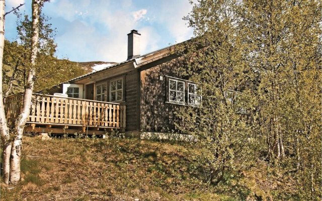 Amazing Home in Geilo With 5 Bedrooms