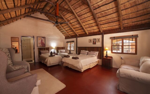 Wild Dogs Safari Lodge