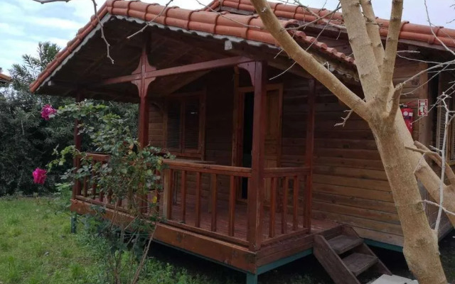 Cirali Natural Life Bungalows Hotel