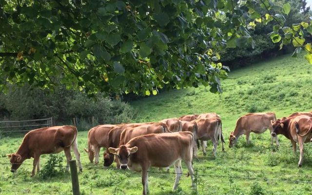 Worralls Grove Guest Farm House