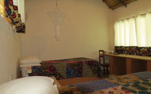 Croc Valley Camp