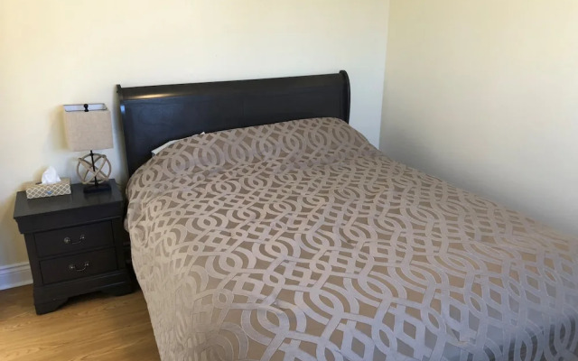 The Shores of Deer Lake