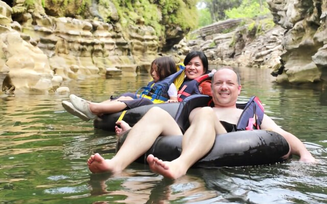 River Rd. Treehouses- Robins Roost