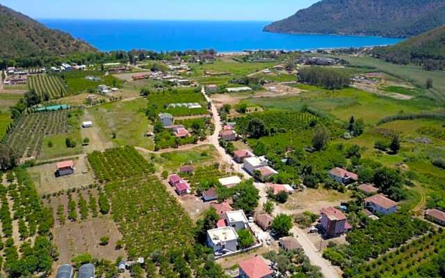 izol Apart Evleri