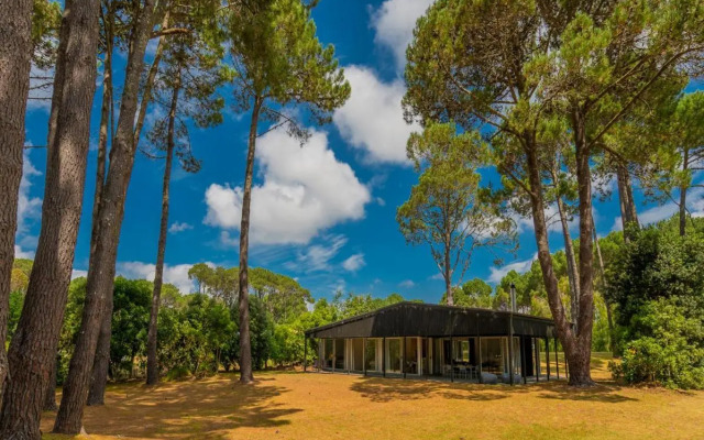 The Golden Hideaway - Matarangi Holiday Home