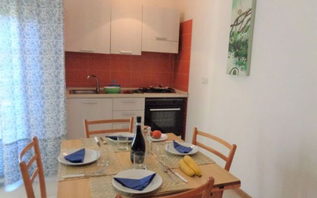 Green Marine, Palme, Ismare 27204