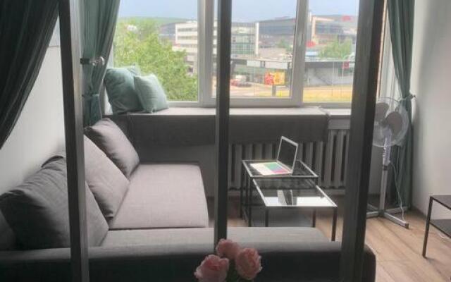 Apartment near Ozas