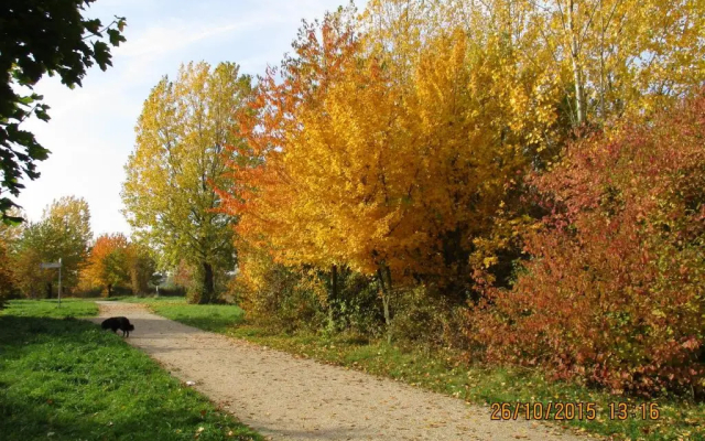 Ferienwohnung Südseeufer