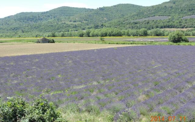 Les Cigales d'Estoublon