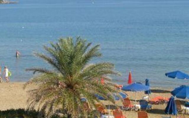 Hotel Vitamin Sea And Sun