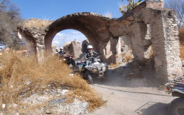 Living Spirit San Miguel de Allende