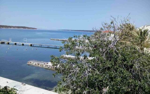 Petar - 6m From the sea - A1