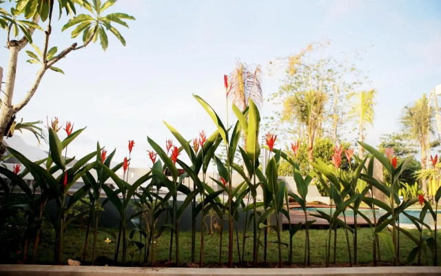 Vanilla Suite Jimbaran