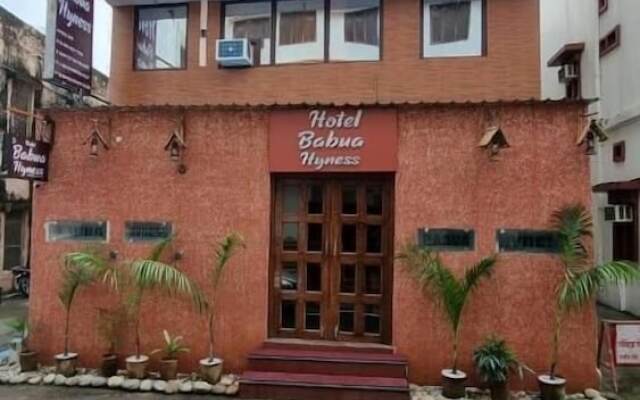 Hotel Babua Hyness