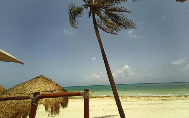 Paraíso Playa Bonita- Roof Top