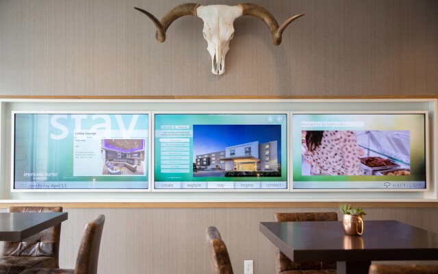 SpringHill Suites by Marriott Austin Cedar Park