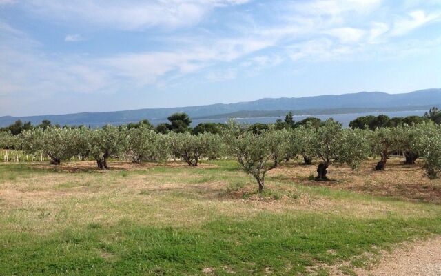 Holiday Home Oliva