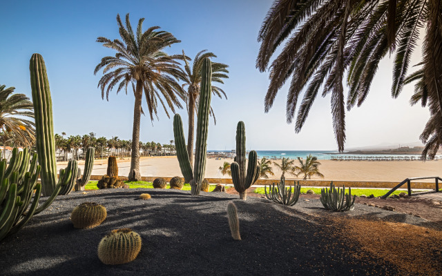 Barceló Fuerteventura Royal Level