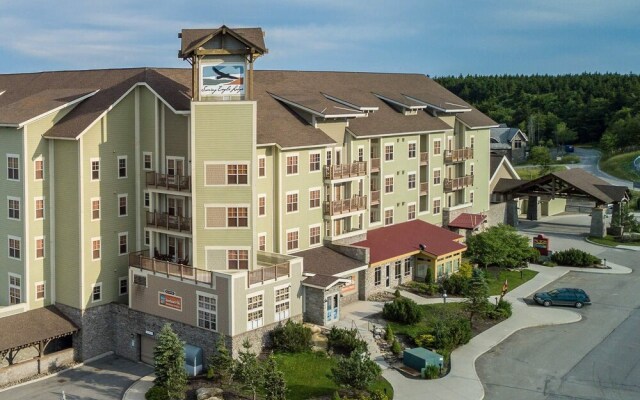 1 Studio: Soaring Eagle 308