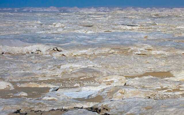 Western Desert Hotel & Safari