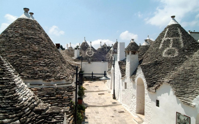 Trullidea 