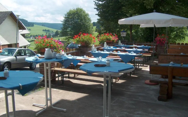 Hotel Schwarzwaldgasthof Zur Traube