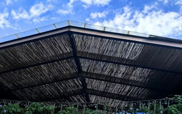 Suxie Art Guesthouse