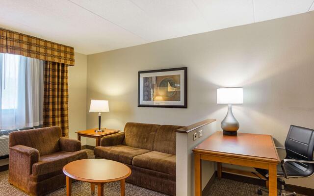 Comfort Inn Herndon - Reston